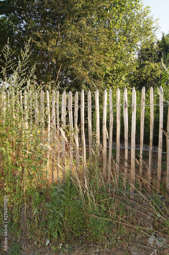 Staketenzaun im Bauerngarten,taketenzaun, bauerngarten, fence, selfmade