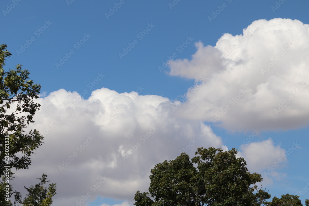 bright blue sky with white fluffy clouds. space for background detail bright blue sky with white fluffy clouds. space for background detail