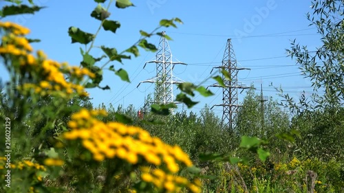 High voltage transmission power line at nature landscape with tansy flowers in the foreground. photo