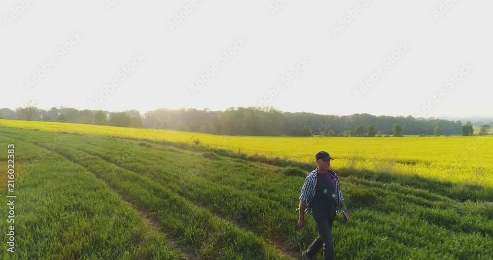 Farmer Walking on farm with Digital Tablet at golds Sunset Farmer Walking on farm with Digital Tablet at golds Sunset