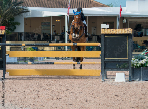 Equestrian jumping exhibition