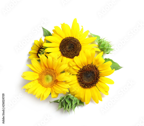 Beautiful bright sunflowers on white background