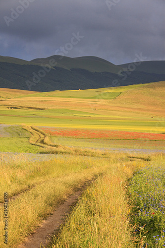 A magnificent sunrise in Castelluccio di Norcia. expecting more to the thousand colours of flowering 