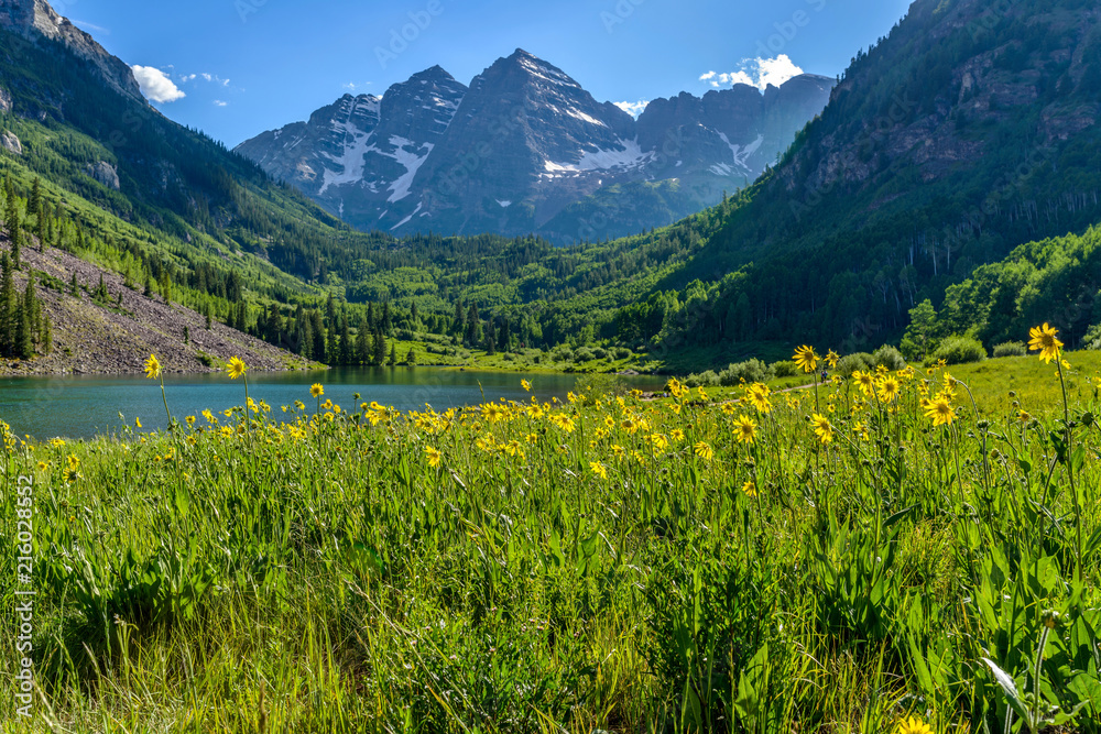 Φωτογραφία Flowering Mountain Valley - Springtime at Maroon Creek Valley, Aspen, Colorado, USA