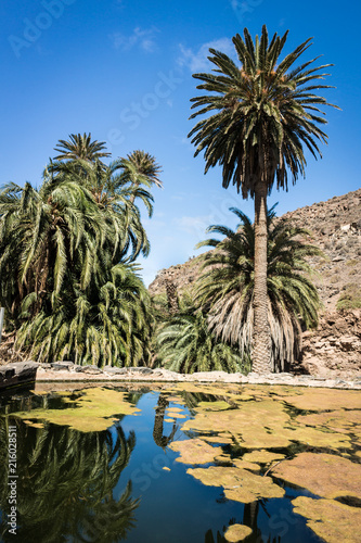"Barranco de la Madre del Agua" auf Fuerteventura
