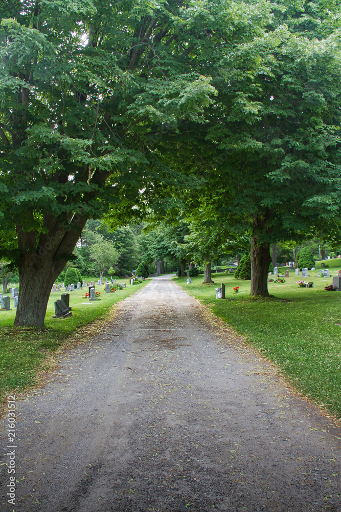 Old Road through a County Cemetery