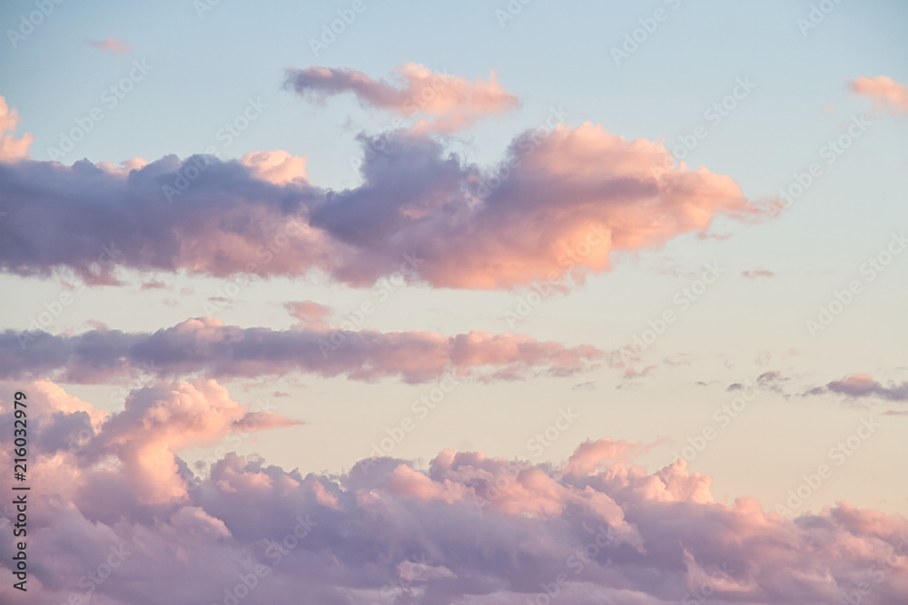 Pink Clouds in the Evening Sky