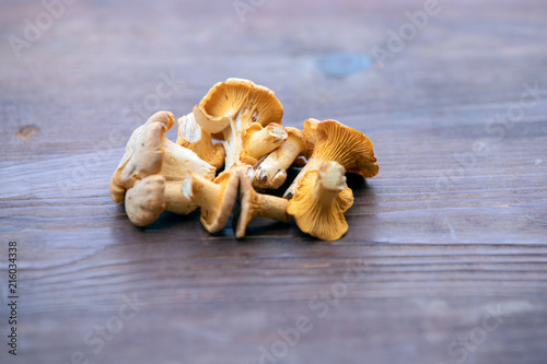 wild mushrooms chanterelle on wooden table, background