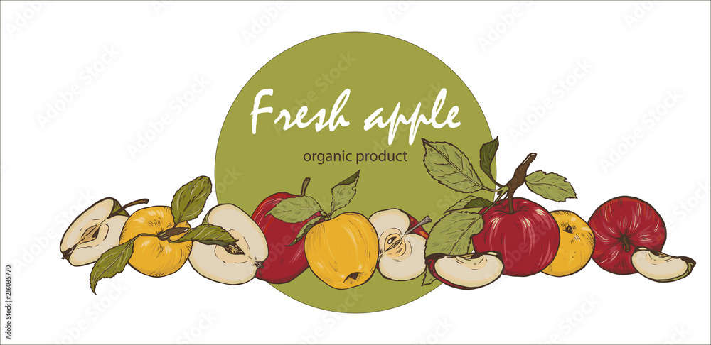Colorful fresh apples, whole, cut in half and into slices Colorful fresh apples, whole, cut in half and into slices