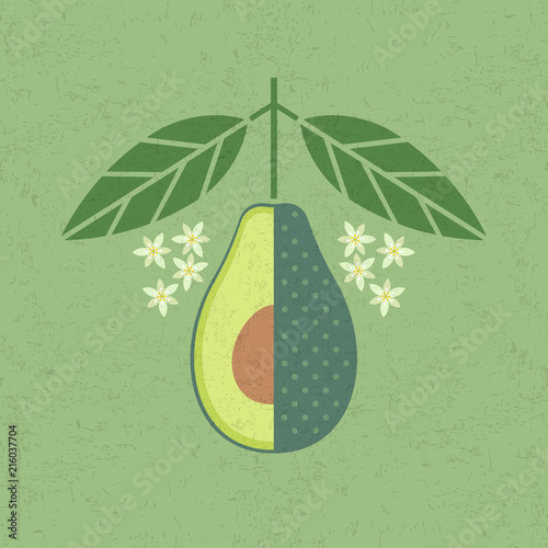 Avocado illustration. Cut avocado with leaves and flowers on shabby background. Symmetrical flat composition. Shabby style.