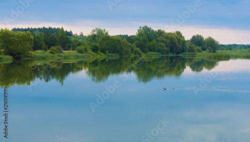 Landscape - lake and birds swim on smooth water