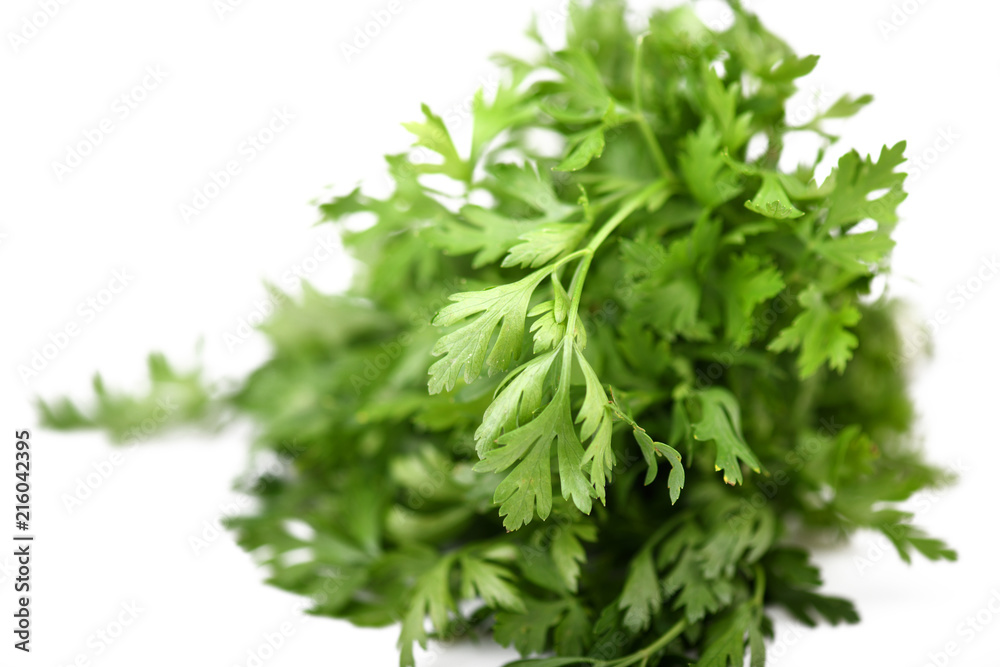 Fresh parsley isolated on a white background Fresh parsley isolated on a white background