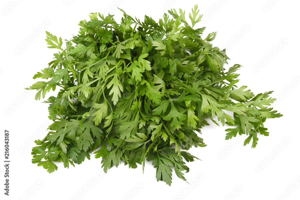 Obraz premium Fresh parsley isolated on a white background 