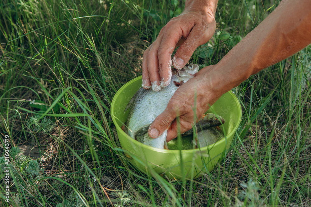 cooking fish porridge decoration fire picnic wild