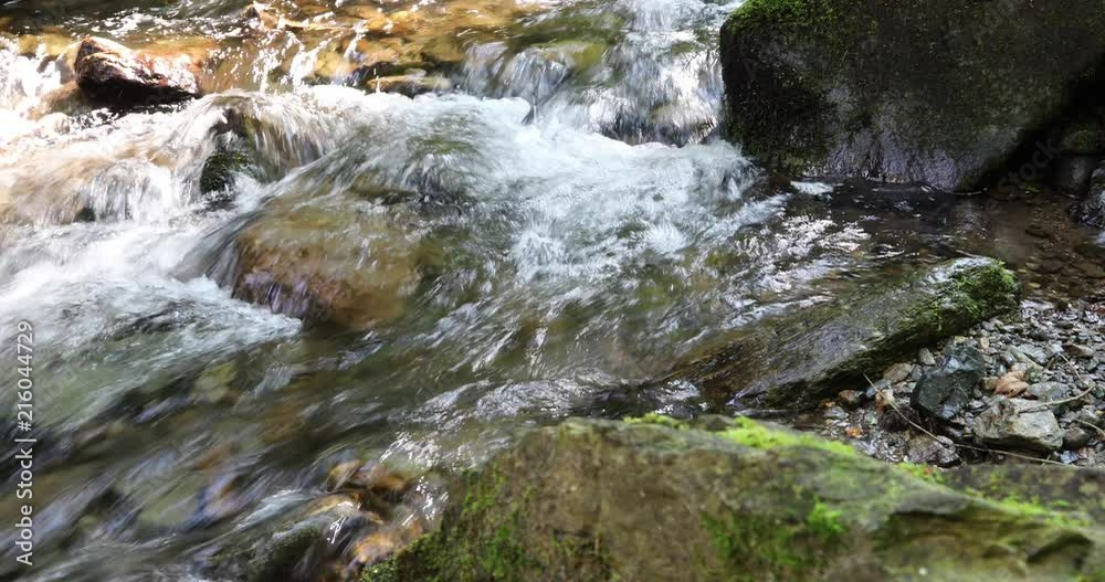 Sunny forest river closeup with mossy rocks and waterfalls. Slider equipment used. 