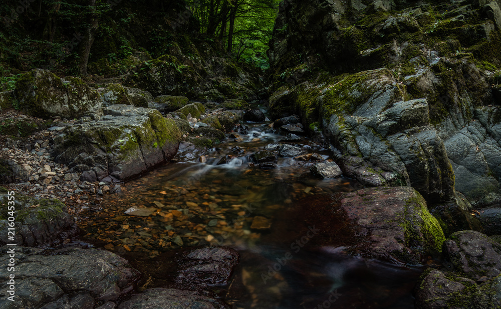 Mystical and gloomy gorge well hidden out of sight of anybody who is not aware of it. Small creek flowing among stones and rocks. Very dark and cold place with a special atmosphere. Love nature. Mystical and gloomy gorge well hidden out of sight of anybody who is not aware of it. Small creek flowing among stones and rocks. Very dark and cold place with a special atmosphere. Love nature.