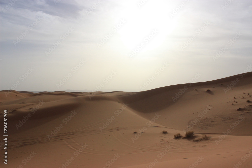 Saara Desert