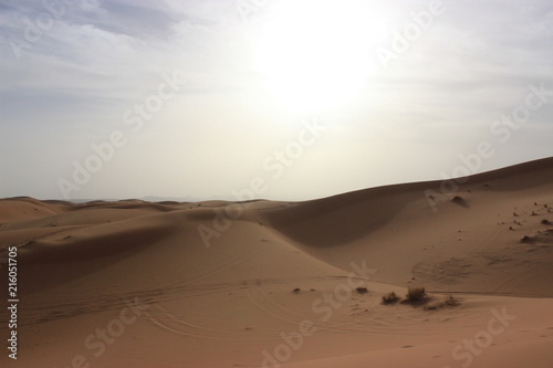 Saara Desert
