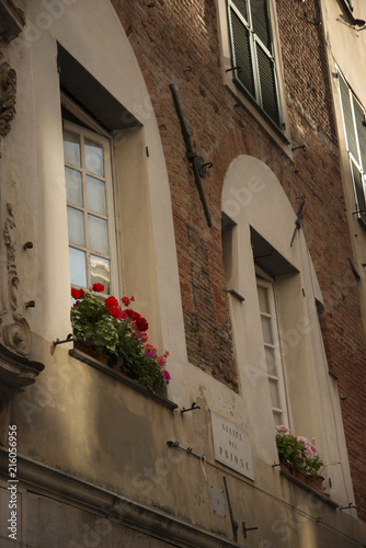 Flowerpots on the windows at traditional style building at historic center of Genoa  Italy