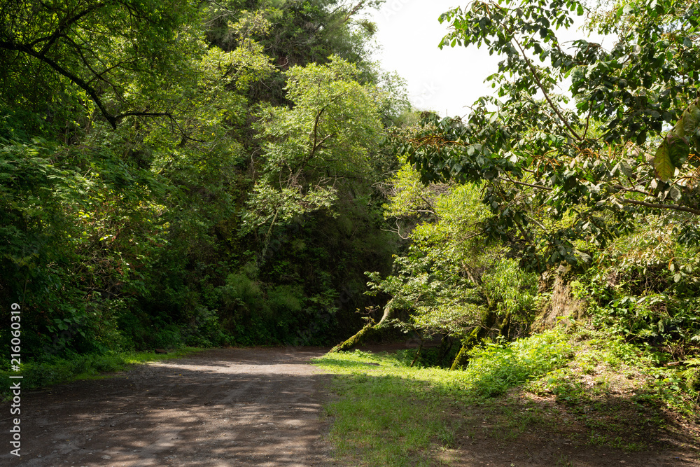 Fototapeta premium la maria