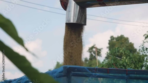 closed up rice harvester