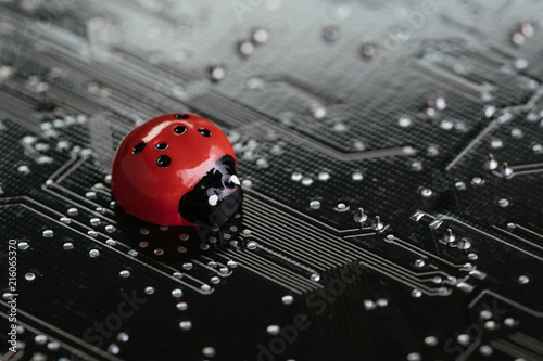 Картината върху платно Computer bug, failure or error of software and hardware concept, miniature red l