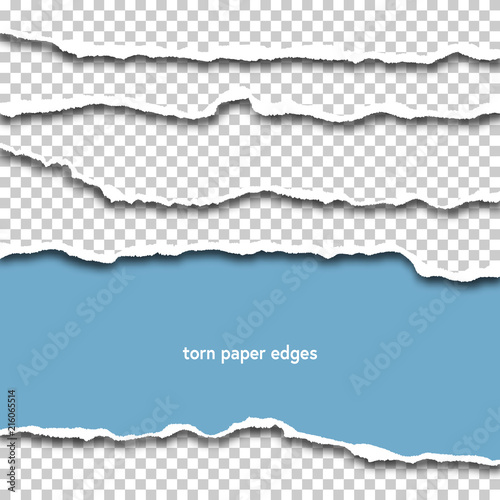 Torn paper sheets edges with shadow on transparent background 