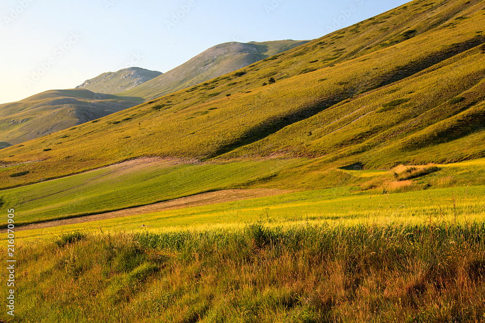 The wonderful lentil flowering in Castelluccio di Norcia. Thousands of colours, flowers and wheat. a beautiful landscape 