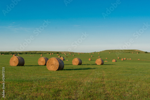prairie hay bales