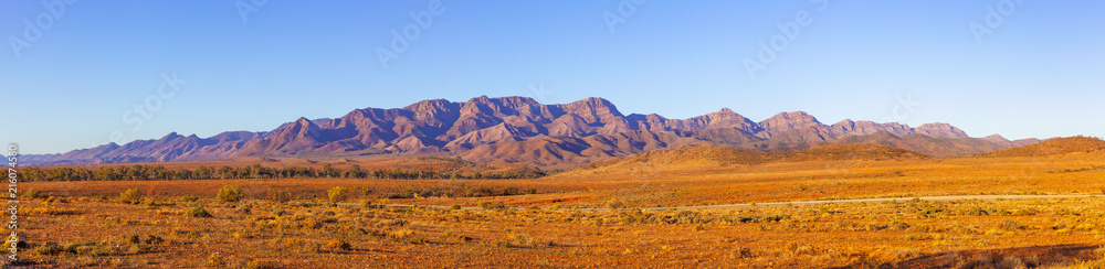 Fototapeta premium Duża panorama pasm Flinders w Australii Południowej