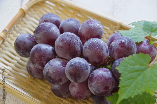 葡萄　Grape photo