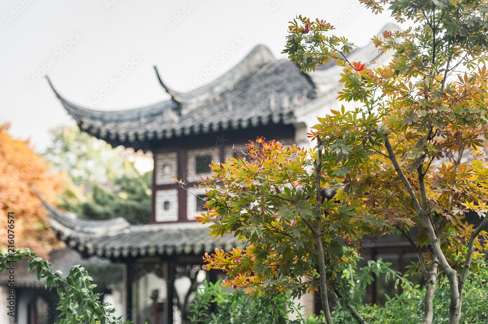 Traditional garden roofs in Suzhou, China. Decorative sculptures and shingles on an ancient building.