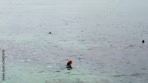 woman swimming with seals in the sea near the Dalkey Island photo