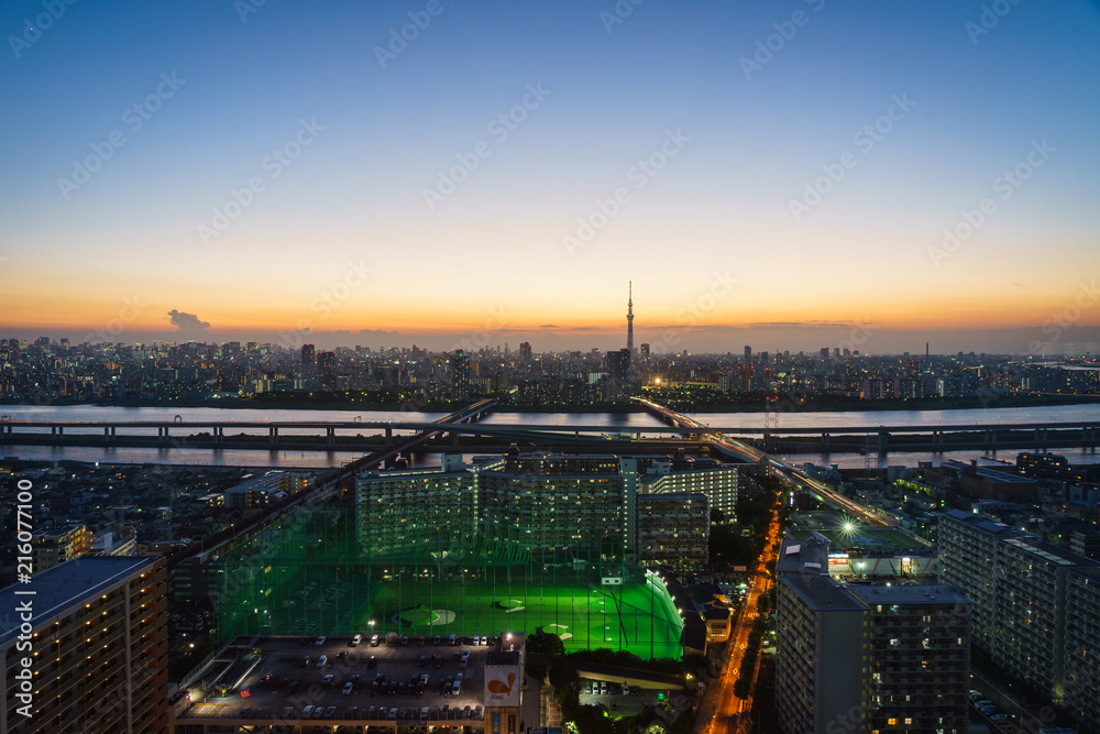 Fototapeta premium 東京 夜景