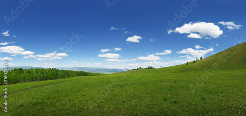 View of grassland in the countryside of Mongolia  photo