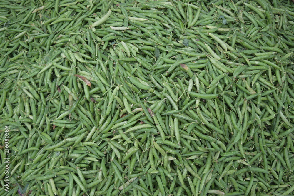 peas in bulk in wholesale market