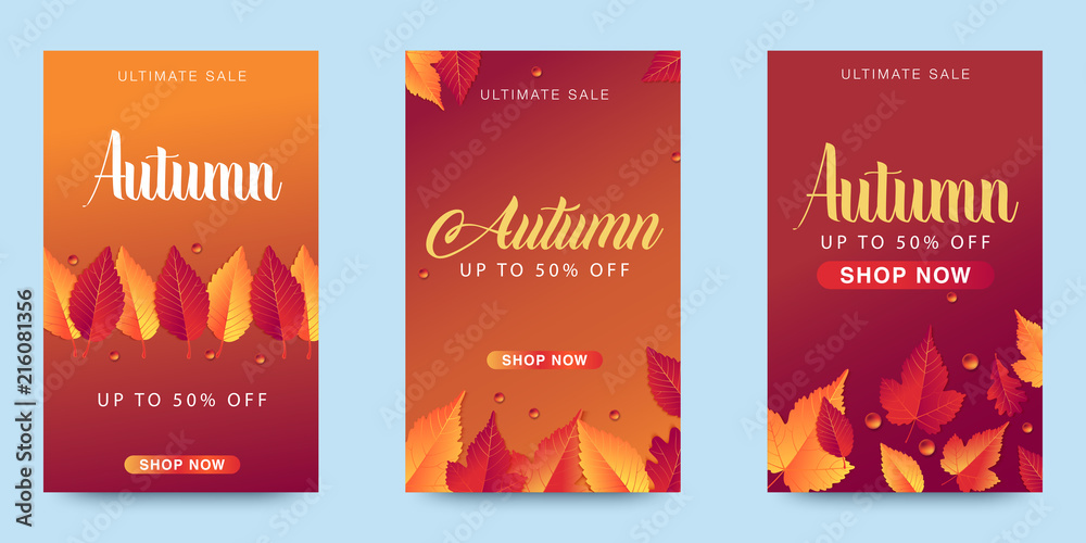 Autumn sale text vector banner with colorful seasonal fall leaves in orange background for shopping discount promotion