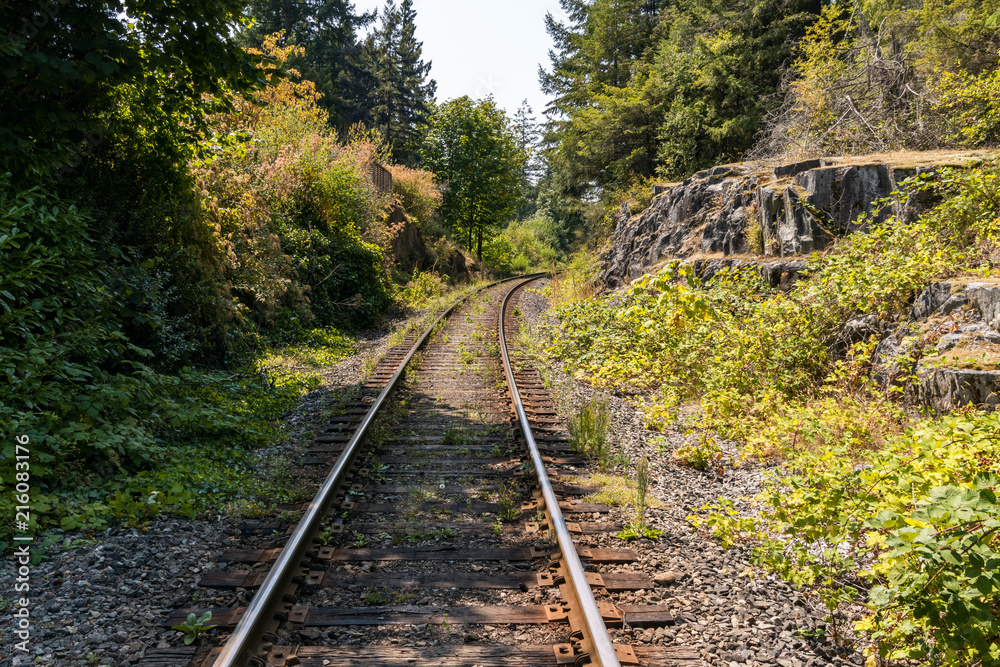 Fototapeta premium railway pass through the forest with rock wall on both sides
