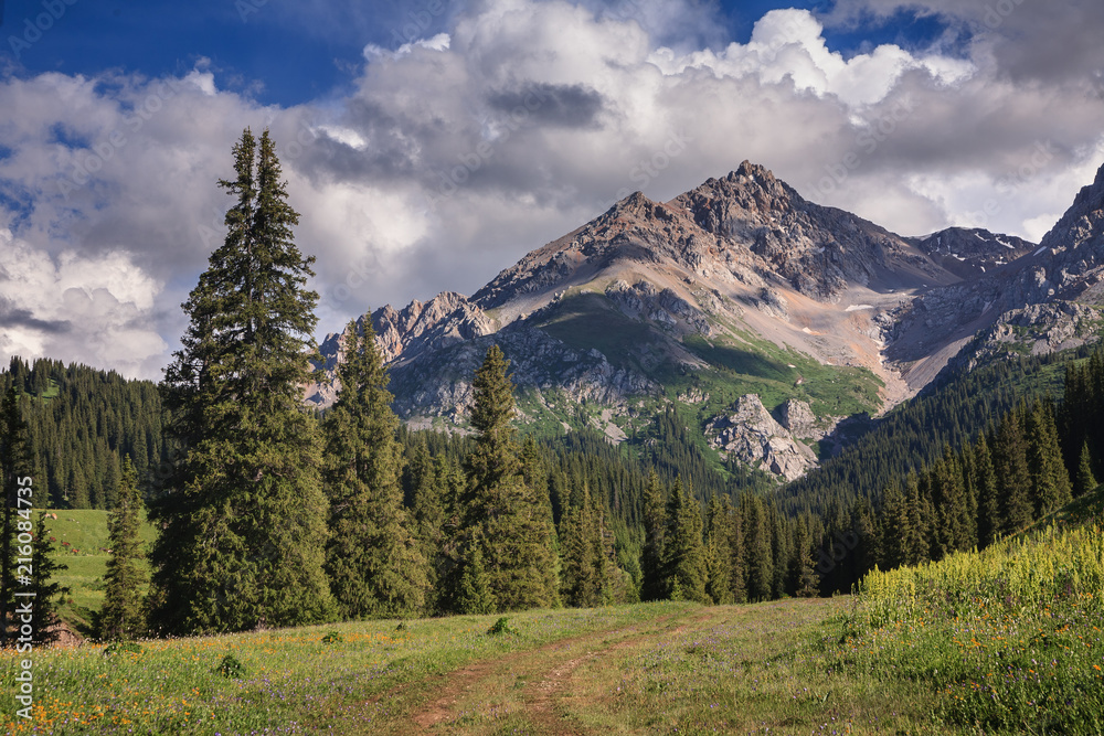 Mountain road