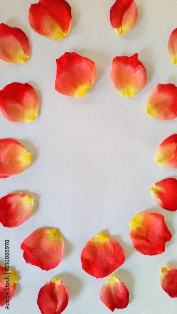 Rosenblüten