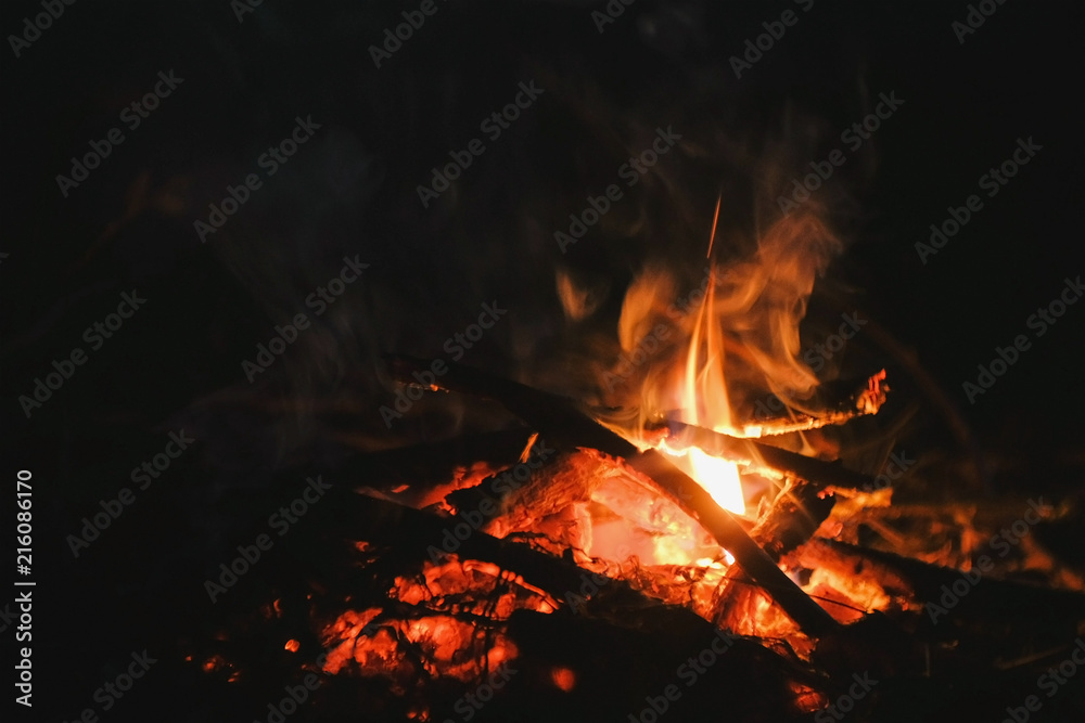 Burning bonfire of dry branches in the forest close-up. Burning bonfire of dry branches in the forest close-up.