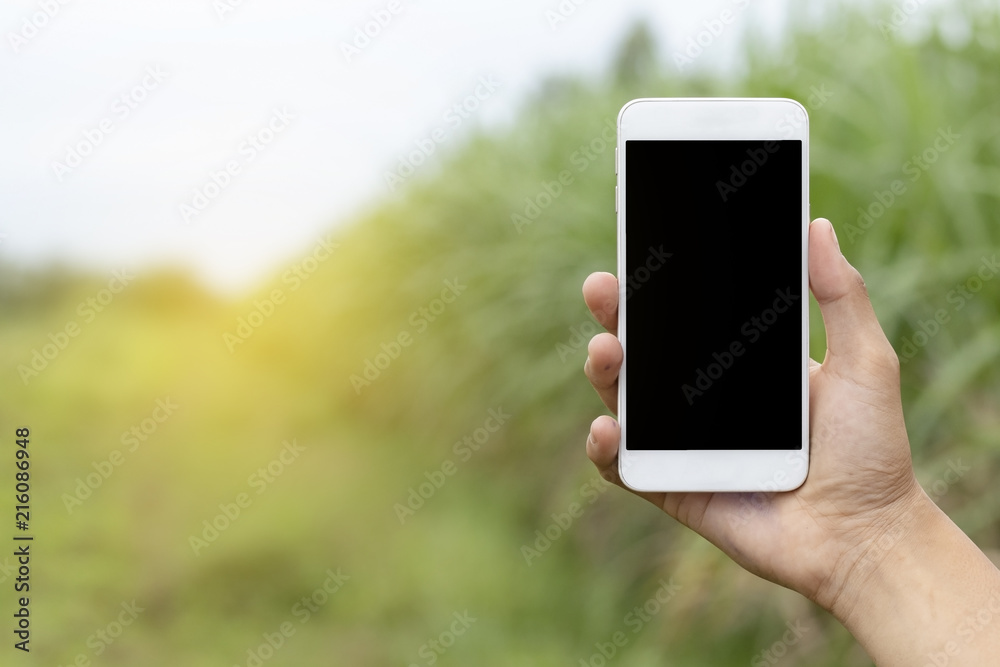 Hand holding smartphone on nature background.