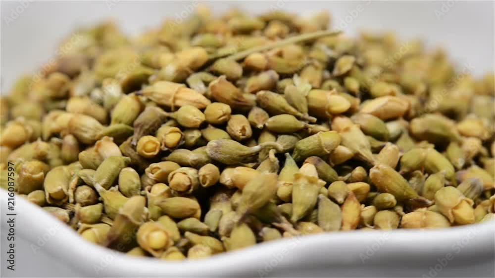 Chinese herb medicine of Sophorae Flos or Black Locust Flower rotating close up Chinese herb medicine of Sophorae Flos or Black Locust Flower rotating close up