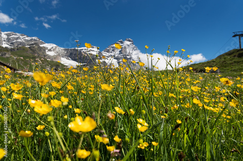 Alpine landscape with mount Matterhorn, Breuil-Cervinia, Italy.