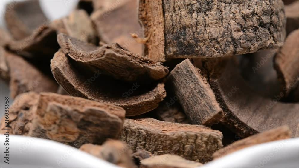 Chinese herb medicine of Magnoliae Officinalis Cortex or Officinal Magnolia Bark rotating close up Chinese herb medicine of Magnoliae Officinalis Cortex or Officinal Magnolia Bark rotating close up