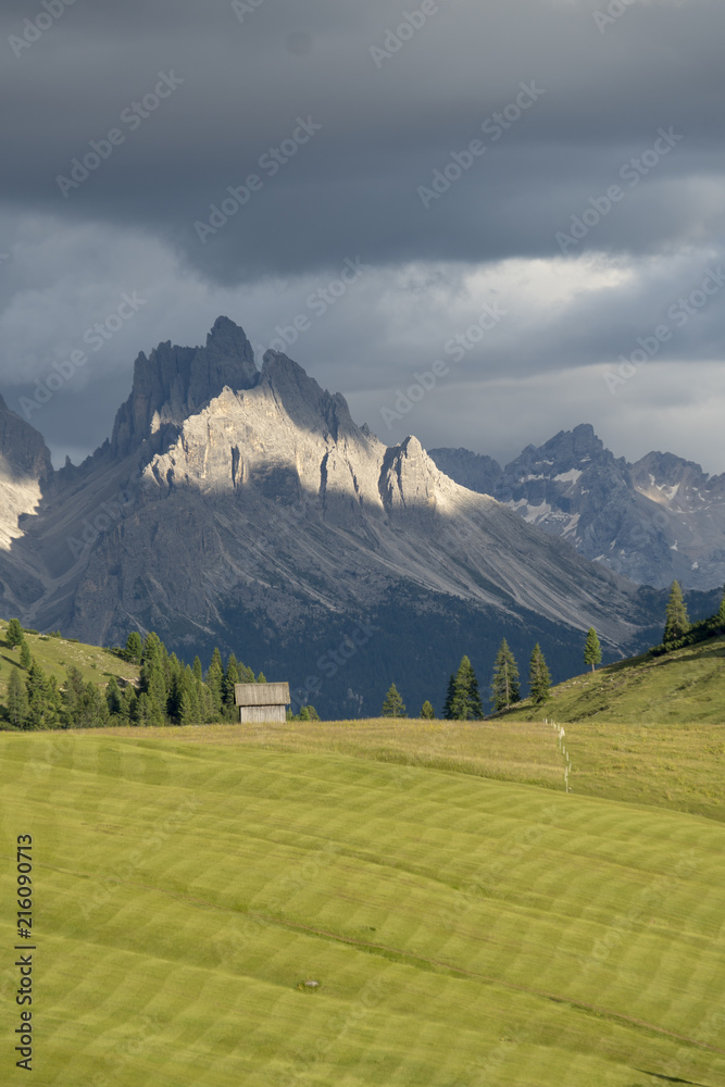 Naklejka premium Dolomiten: Kalkgipfel im Abendlicht, im Vordergrund frisch gemähte Alpwiese