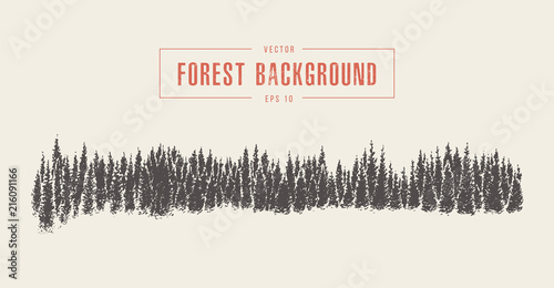 Pine forest background, vector drawn, sketch