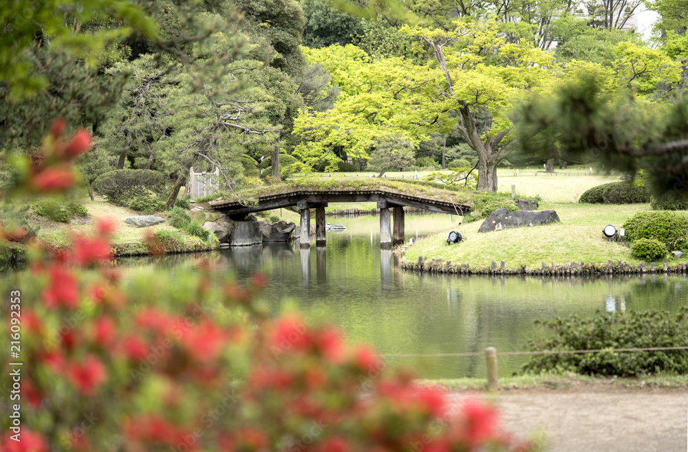Wooden japanese Dentsuru bridge on the pond of Rikugien Park in Bunkyo district, north of Tokyo.