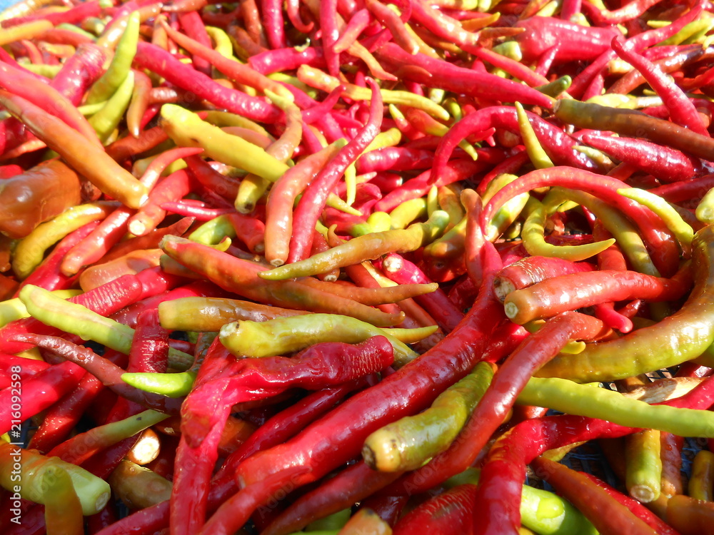 red pink and green peppers red pink and green peppers