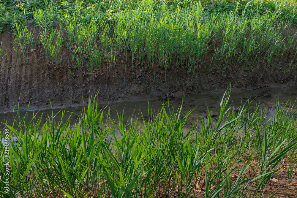 irrigation channel irrigation channel